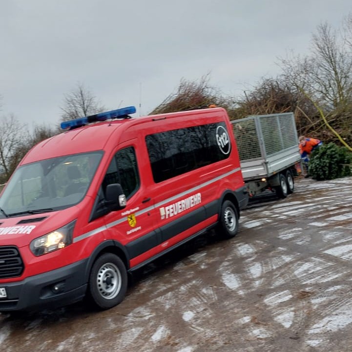 Abladen der Bäume am Wertstoffhof